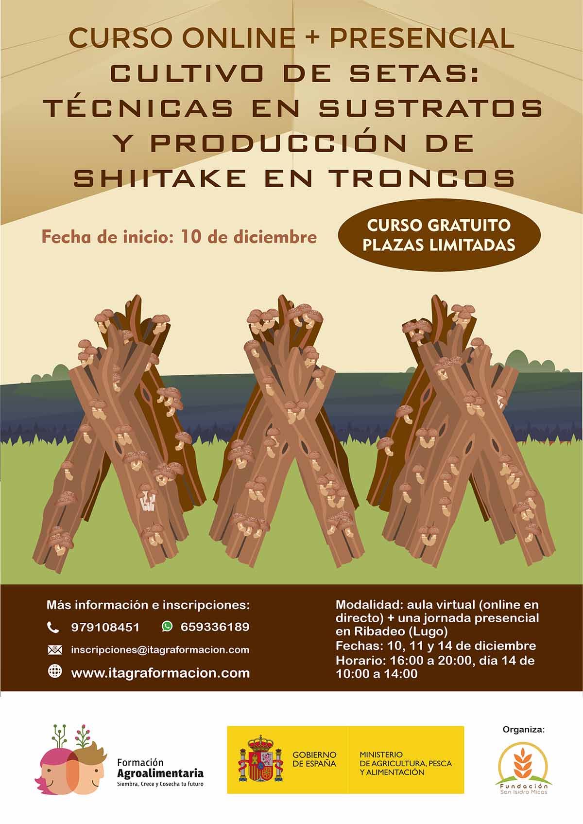 Cultivo de setas: Técnicas en sustratos y producción de shiitake en troncos