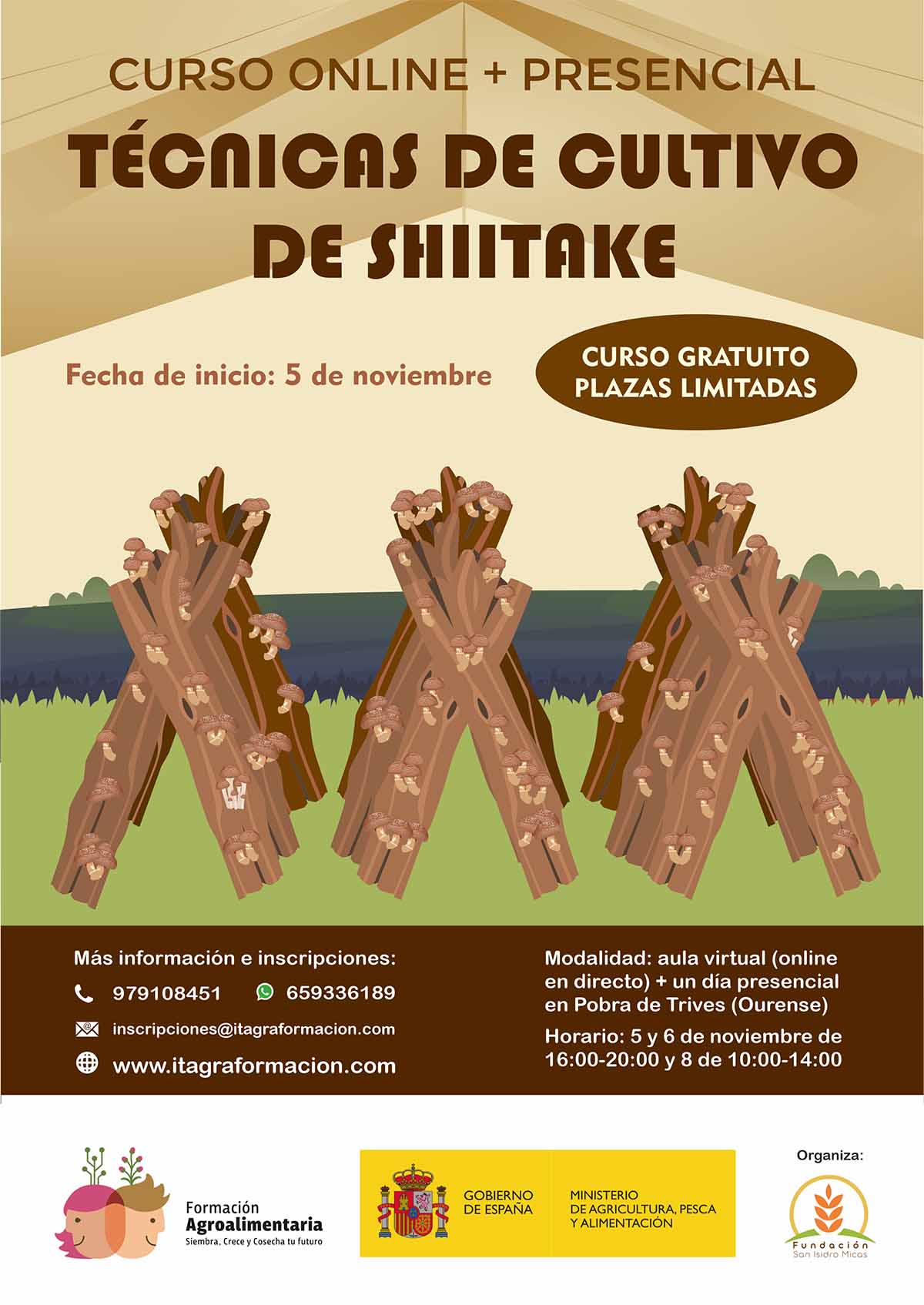 Técnicas de cultivo de Shiitake
