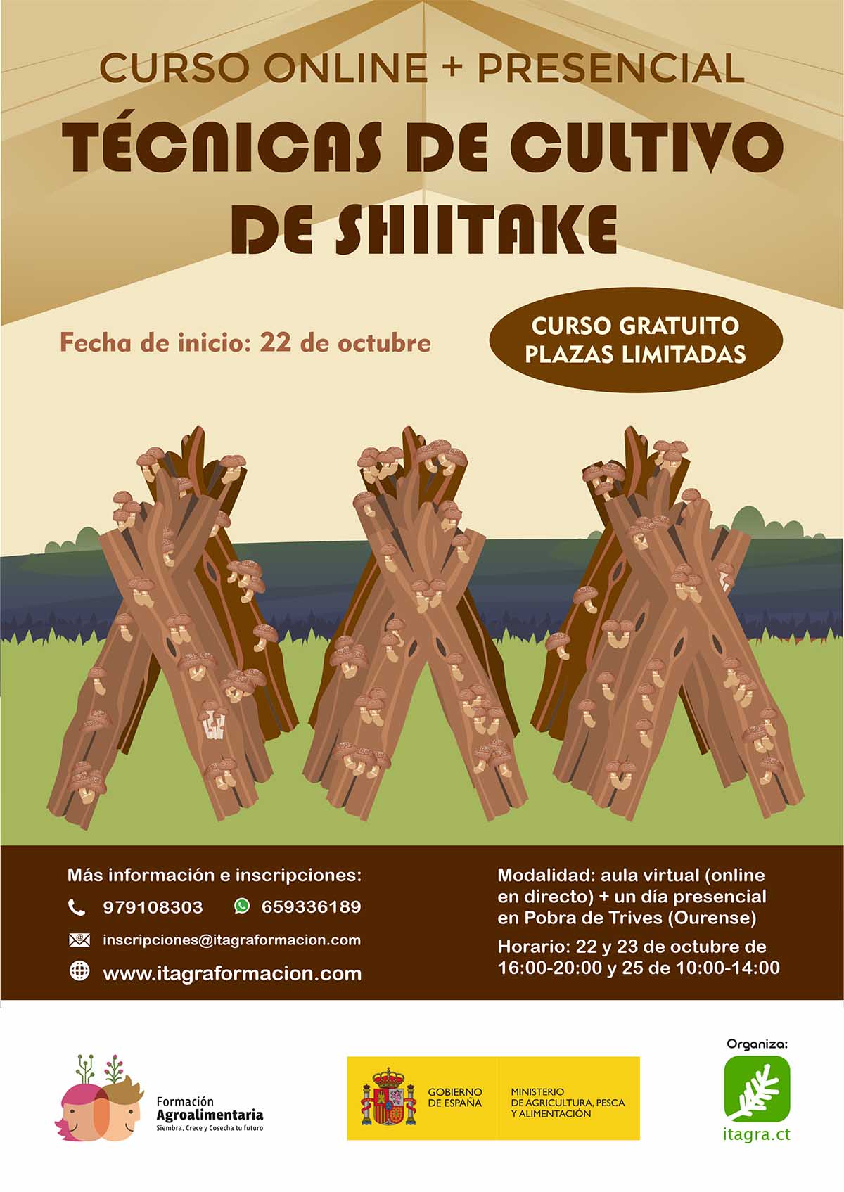 Técnicas de cultivo de Shiitake
