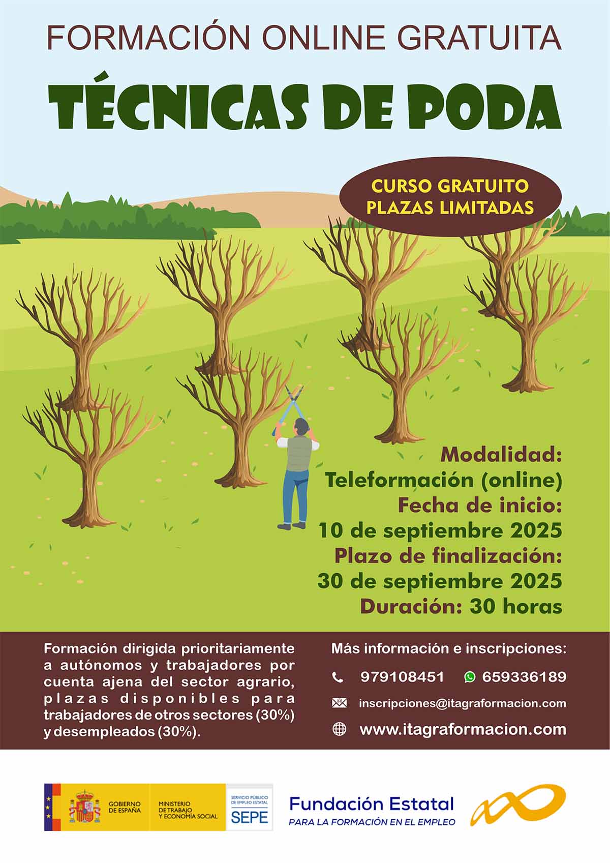 Técnicas de poda