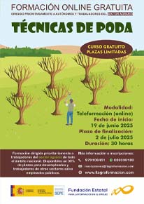 Técnicas de poda