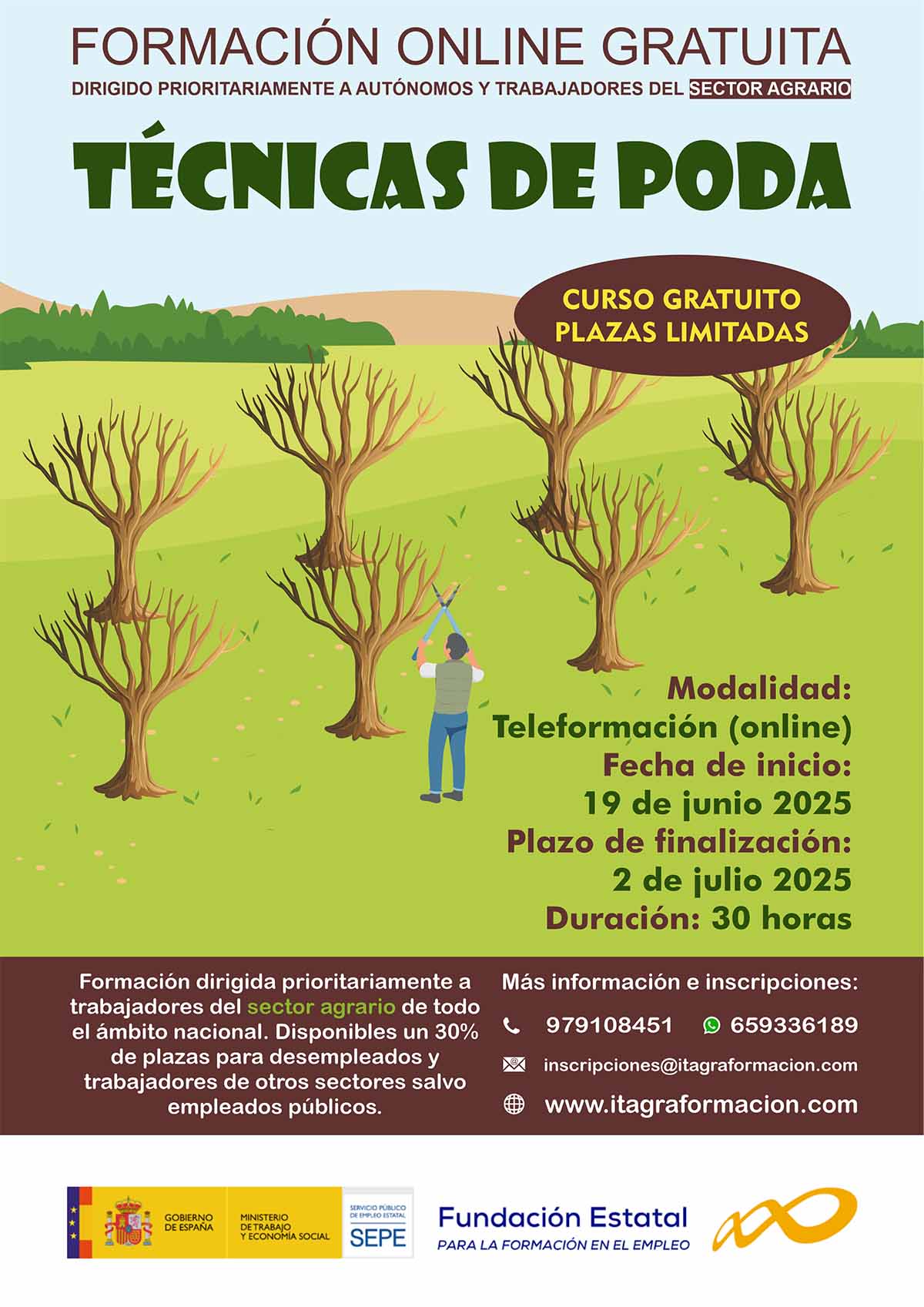 Técnicas de poda