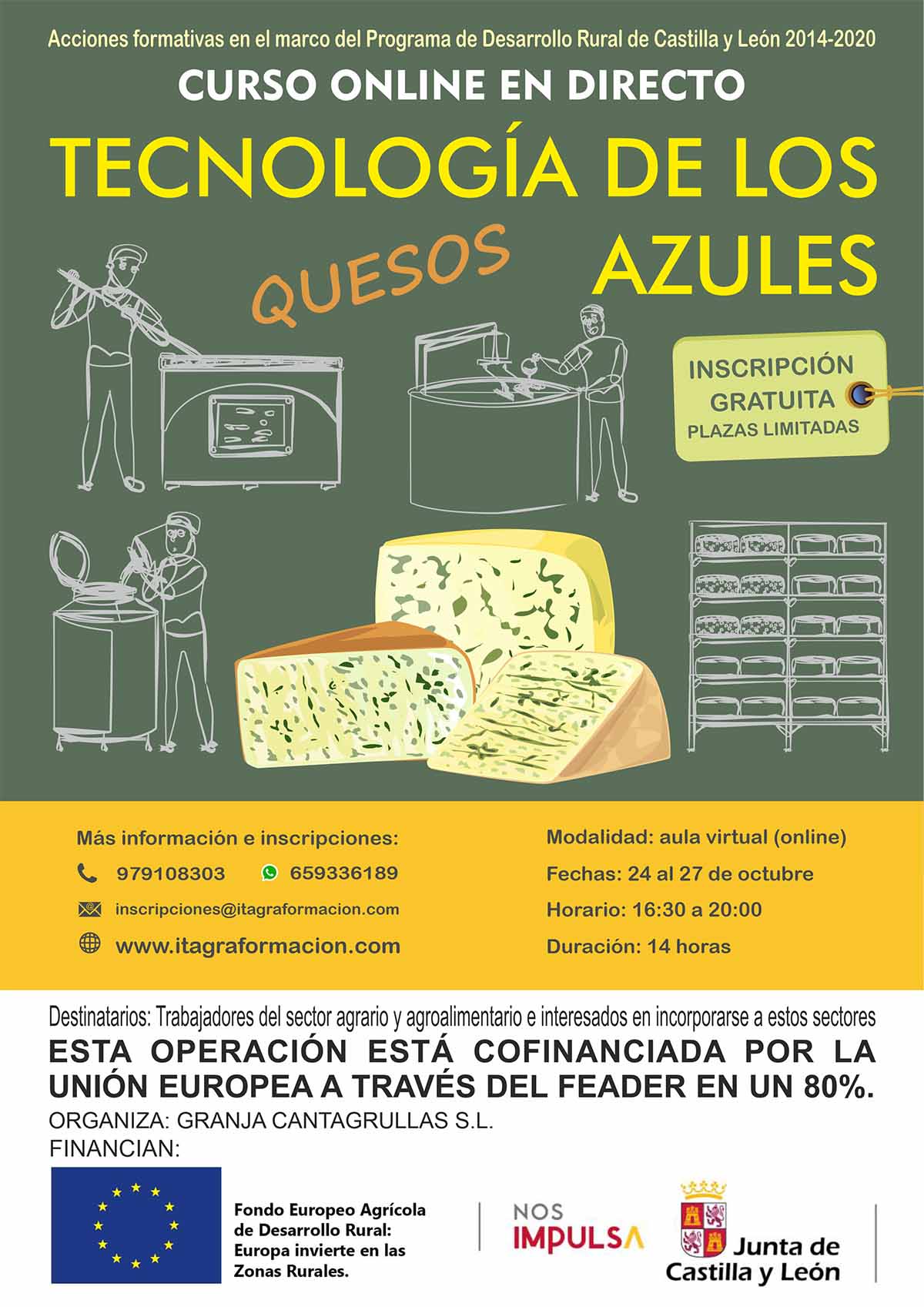 Tecnología de los quesos azules